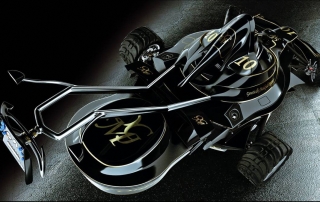 Cortacésped F1, siega como Schumacher - Imagen 7