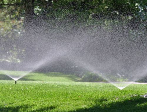 Como mejorar la eficiencia del riego en el jardín