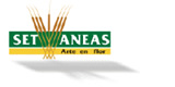 Logotipo de SET ANEAS