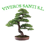 Logotipo de VIVEROS SANTI S.L.